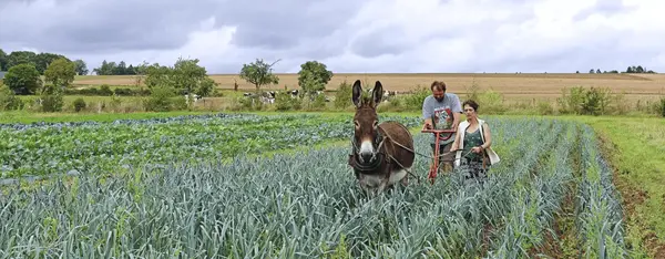 Ardennes bio, une culture de groupe Ardennes bio, une culture de groupe
